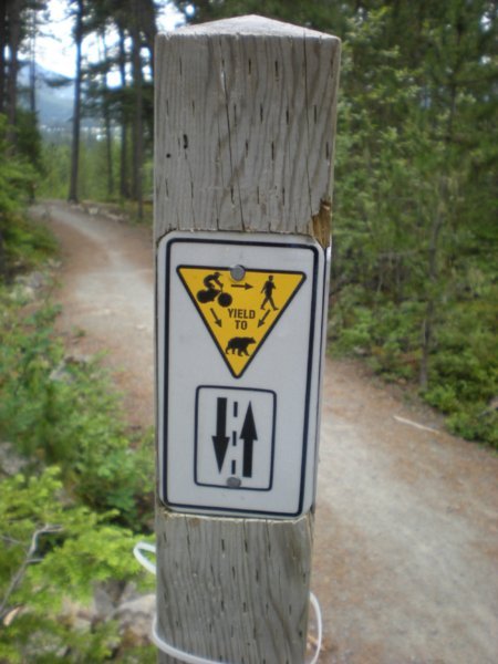 Bear-Biker-Hiker Give Way