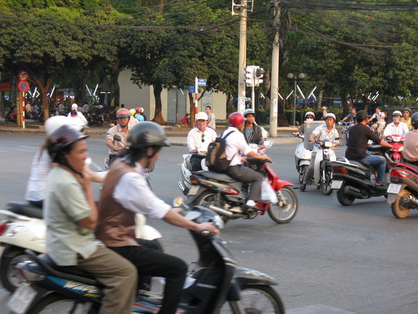 Mopeds everywhere