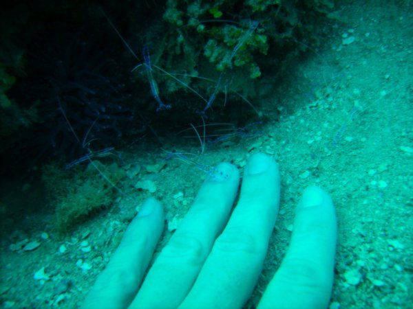 Underwater Manicure