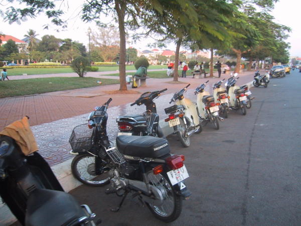 Motos at the park