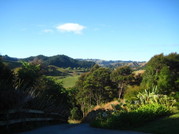 The rolling hills and vegetation of the North Island