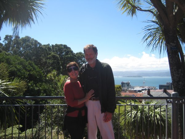 Overlooking Wellington