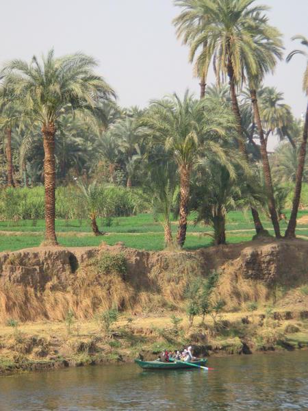 Nile River View