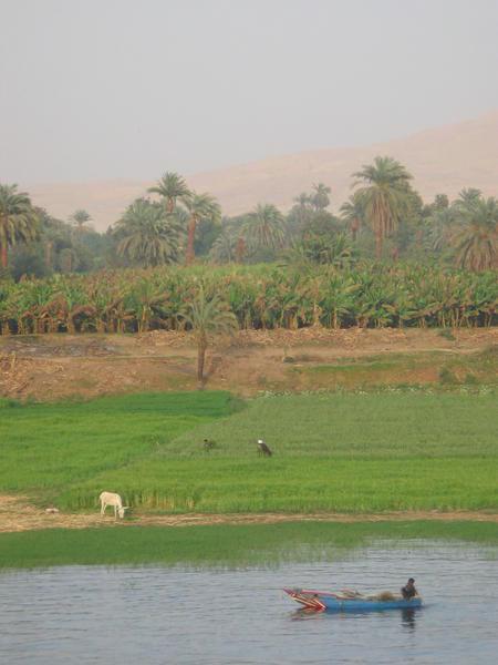 Nile River View 2