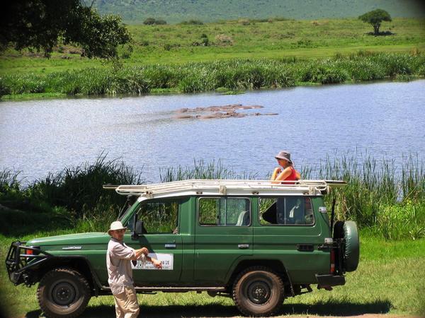 Ngorongoro Crater - Safari