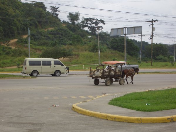 Horse carts and automobiles