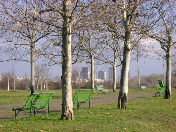 Green benches