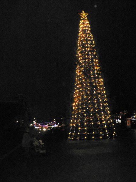 Christmas Tree in Tineretului