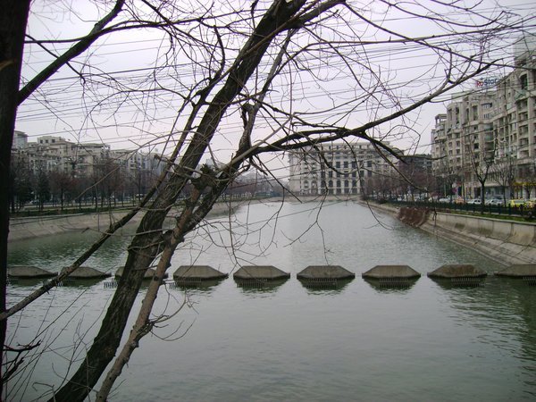 The Dimbovita River