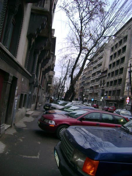Blvd. Dacia