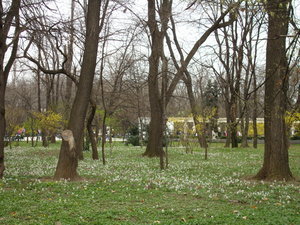 Parcul Herastrau, Pt. 2