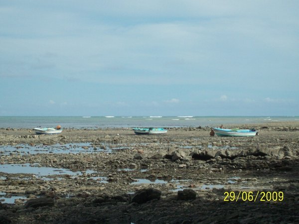 Stranded boats at low tide