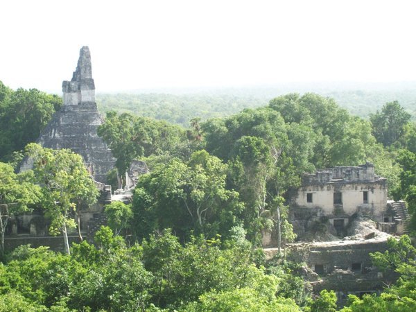 View from top of temple