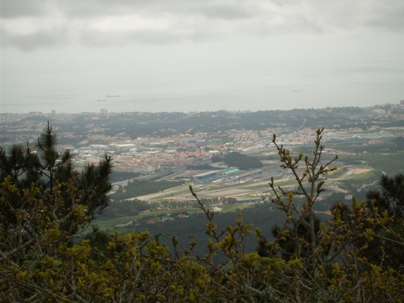 Sintra View