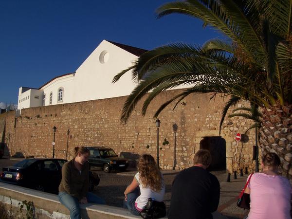 The Town's Wall