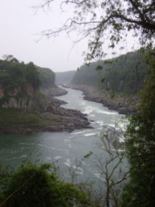 Iguazu National Park 3