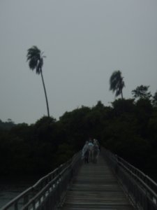 Iguazu National Park 5