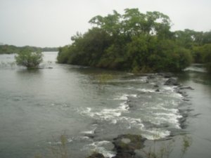 Iguazu National Park 6