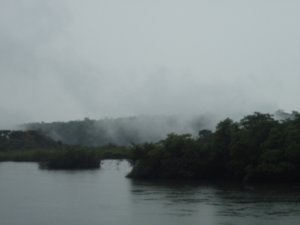 Iguazu National Park 12