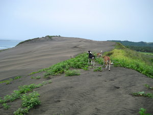 sigatoka dunes 1
