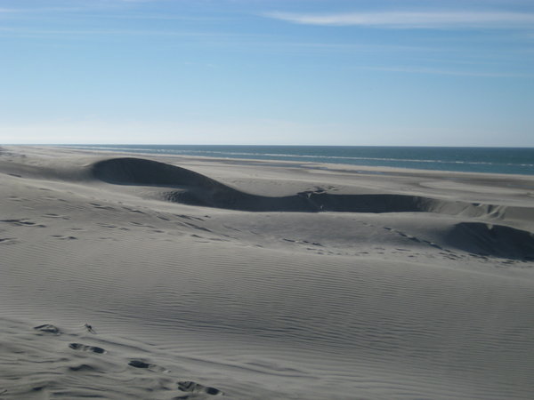 sand dunes at Farewell Spit