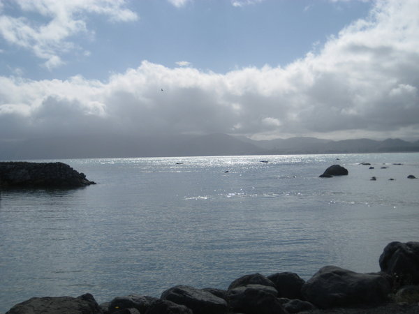 Kaikoura ocean view