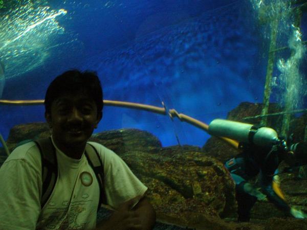 Scuba diver feeding sea animals in the subterranean chamber