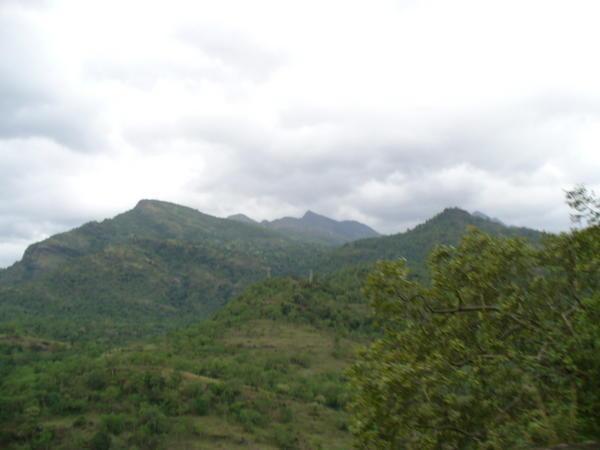 The mountains of Munnar