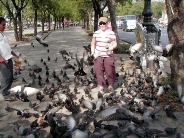 more pigeons