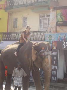 Elephant Ride