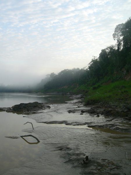 Rio Tambopata, the local highway