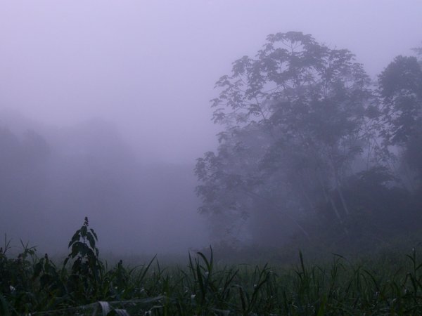 Laguna Chica in the mist
