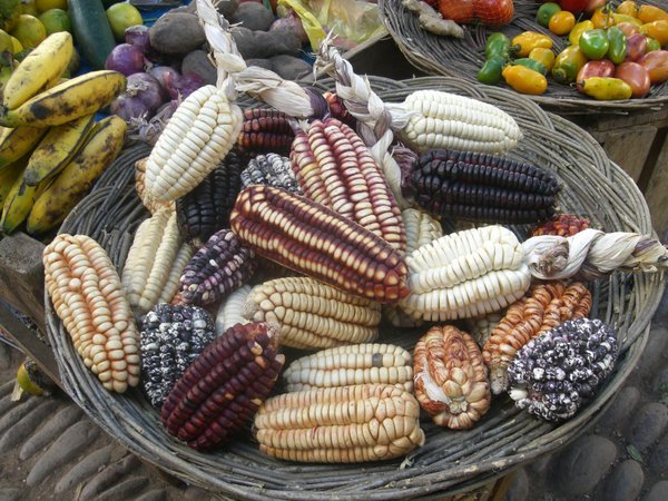 ...picturesque baskets of corn!