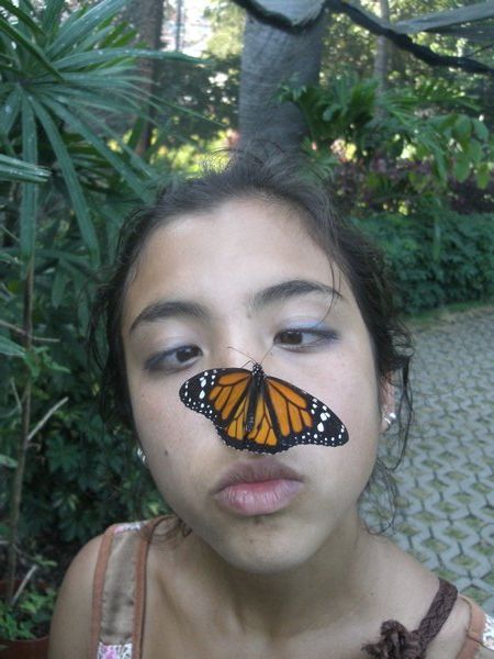 At the butterfly house in Guayaquil