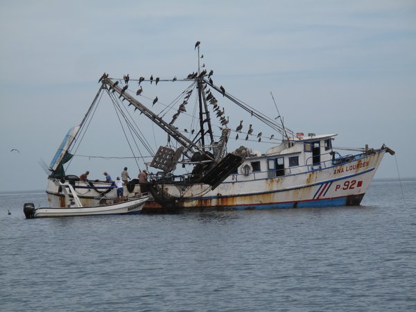 Shrimping boat