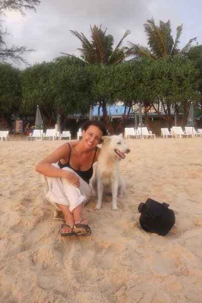 looking after the pups of Phuket