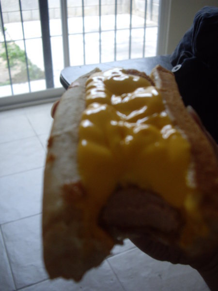 Hot dog + melted cheese