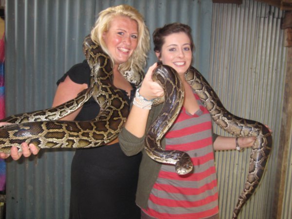 Us with our big snakes