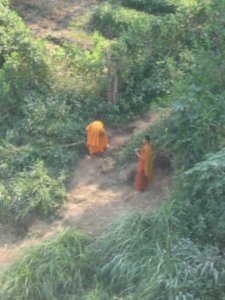 Monks Gardening