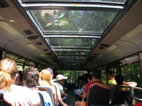 Bus through the rainforrest