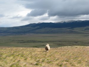 Quintessential Patagonia