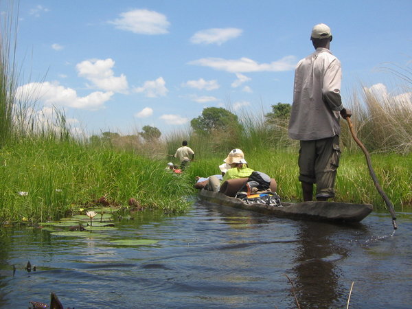 Mokoro Poling through the Delta