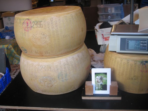 GIANT CHEESE