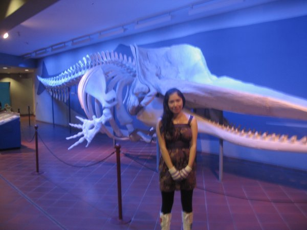 A huge whale!!!