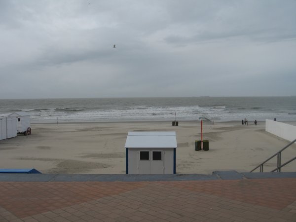 why the hell did we come to blankenberge????