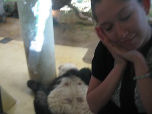 sleepy panda poo
