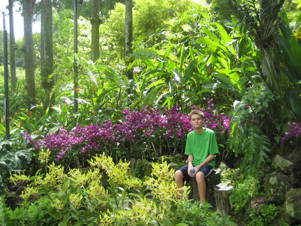 Chilling in the Orchid Gardens