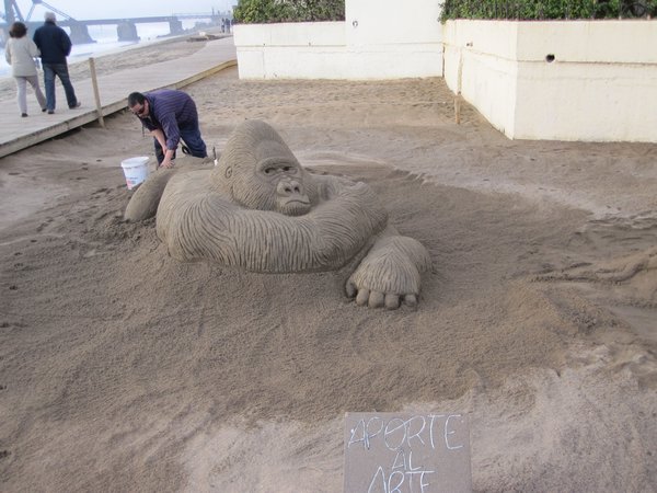 gorillas in the sand