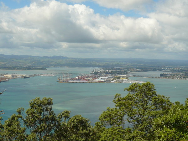Harbour & Tauranga