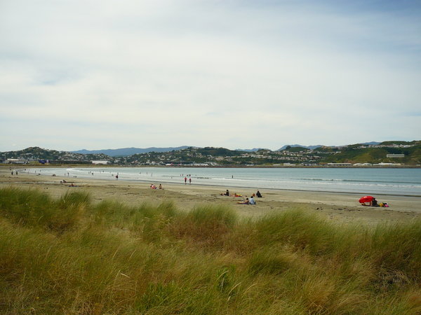 Airport & from Lyall Beach